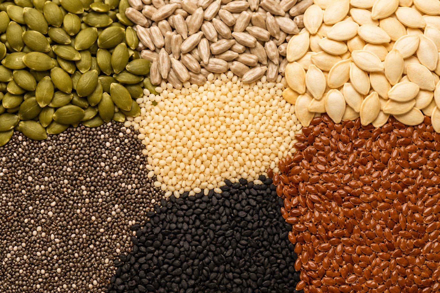 Seeds